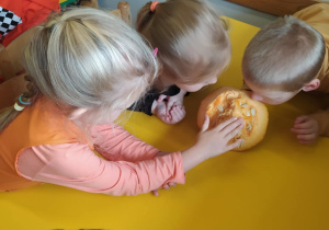 Na zdjęciu widać dzieci które wydrążają dynię. Zabawa sensoryczna.