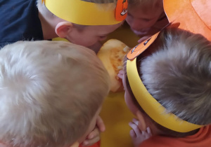 Na zdjęciu widać dzieci które wydrążają dynię. Zabawa sensoryczna.