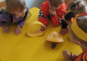 Na zdjęciu widać dzieci które wydrążają dynię. Zabawa sensoryczna.
