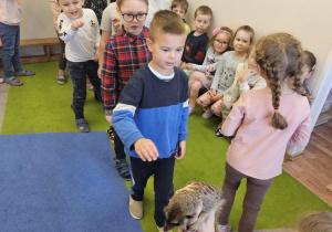 Na zdjęciu widać chłopca która stoi w kolejce do pogłaskania surykatki.