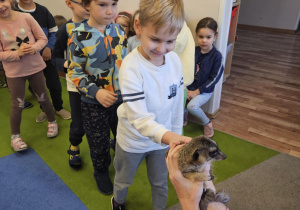 Na zdjęciu widać chłopca która stoi w kolejce do pogłaskania surykatki.