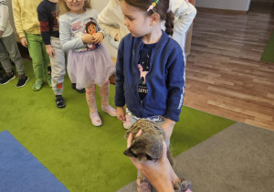 Na zdjęciu widać dziewczynkę która stoi w kolejce do pogłaskania surykatki.