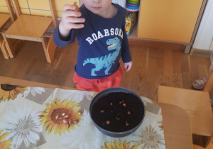Na zdjęciu widać dziecko które sadzi kwiaty.