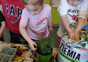 Zdjęcie 14 na 29