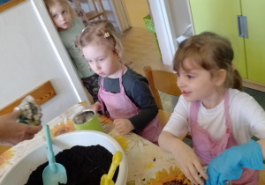 Zdjęcie 2 na 26