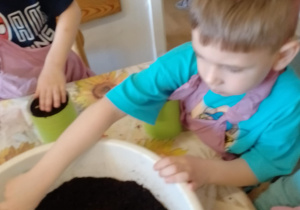 Zdjęcie 15 na 26