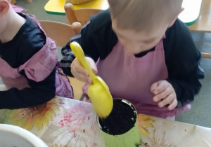 Zdjęcie 17 na 26