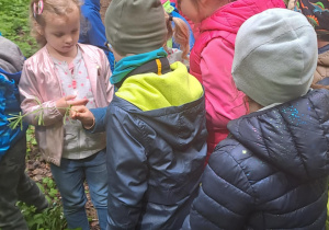 Na zdjęciu widać dzieci w lesie w Łagiewnikach dzieci poznają kwiaty.