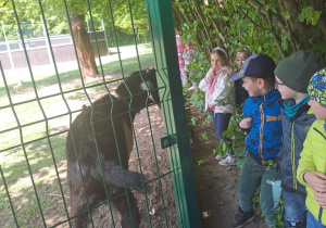 Na zdjęciu widać dzieci w lesie które oglądają kozy , koguty.