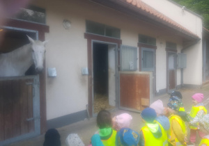 Na zdjęciu widać dzieci które oglądają konia.