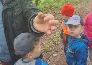 Na zdjęciu widać dzieci które oglądają ślimaka.