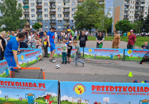 Zdjęcie 88 na 150