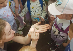 Zdjęcie 2 na 127