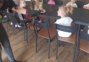 Zdjęcie 13 na 127