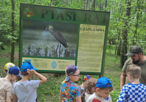 Zdjęcie 106 na 127