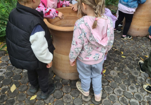 Zdjęcie 18 na 26