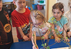 Na zdjęciu widać dzieci podczas zabaw badawczych.