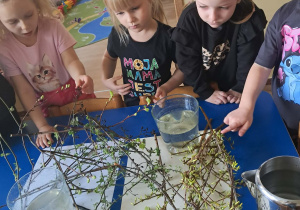 Na zdjęciu widać dzieci podczas zabaw badawczych.