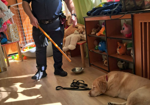 Na zdjęciu widać dzieci podczas zajęć ze Strażą Miejską.