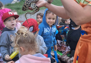 Na zdjęciu widać dzieci które oglądają węża i Panią z cyrku która pokazuje węża.